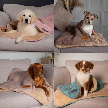 Scruffs Snuggle Dog Blanket - Terracotta
